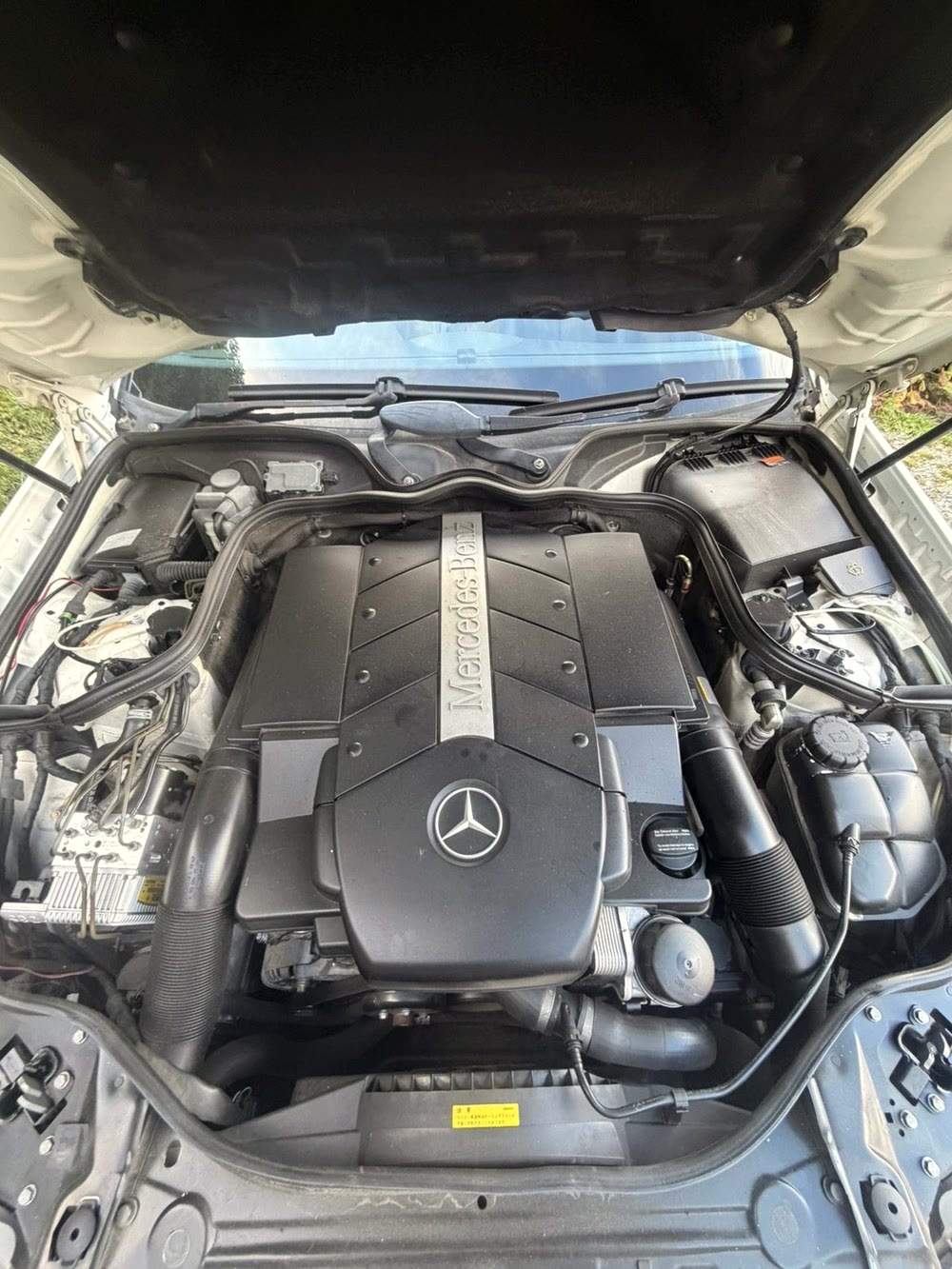 Mercedes-Benz V8 engine bay, detailed